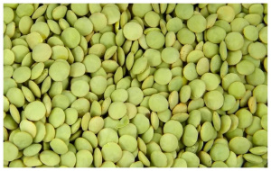 Чечевица зеленая