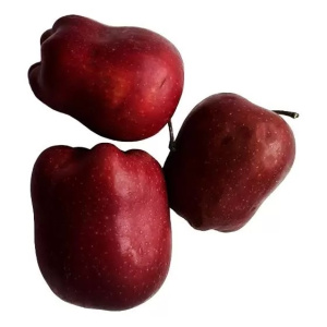 Яблоки Американка