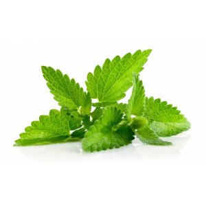 Мята