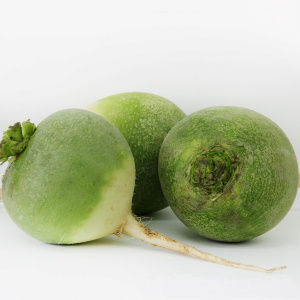 Редька зеленая