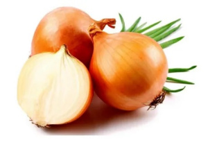 Лук репчатый