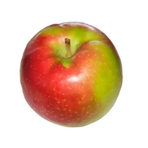 Яблоки Тигуан