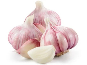 Чеснок св.урожай