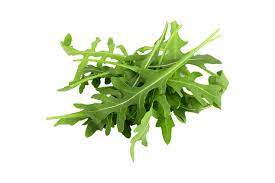 Салат Руккола