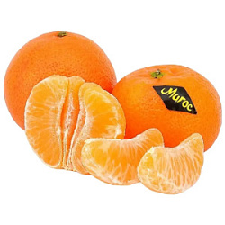 Мандарины Марокко