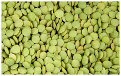 Чечевица зеленая