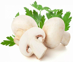 Шампиньоны свежие