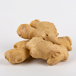 Корень Имбиря