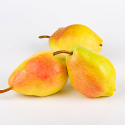 Груша Санта Мария