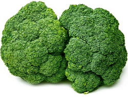 Капуста брокколи