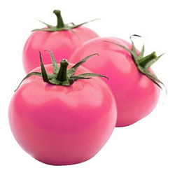 Помидоры розовые тепличные