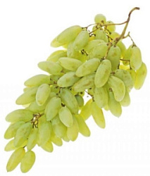 Виноград зеленый Дамские пальчики Ташкент