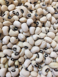 Фасоль черный глаз