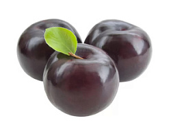 Слива черная 