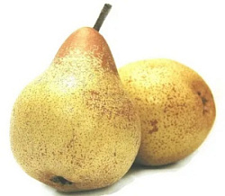 Груша желтая КНР