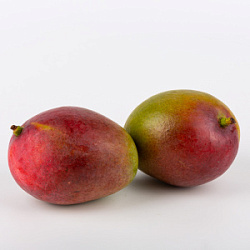 Манго Бразилия