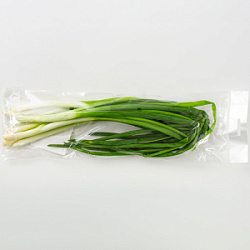Лук зеленый 100 гр